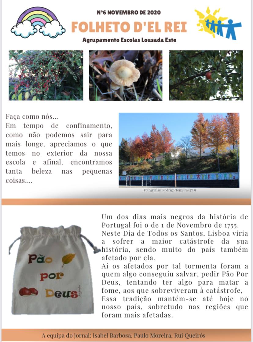 Nº 6 - Novembro 2020