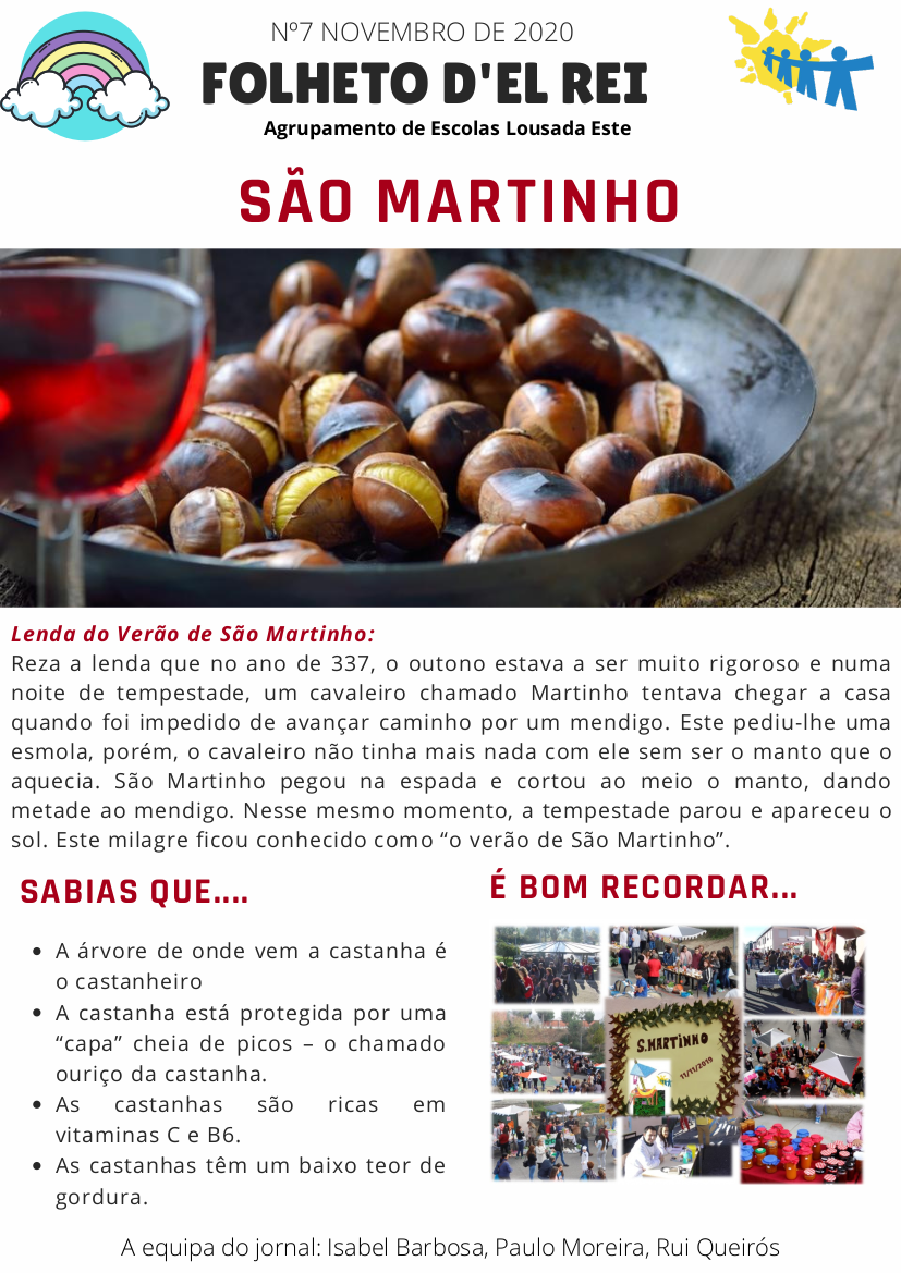 Nº 7 - Novembro 2020