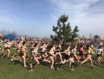 52944348_2588281117865866_6306583763874742272_n.jpg
